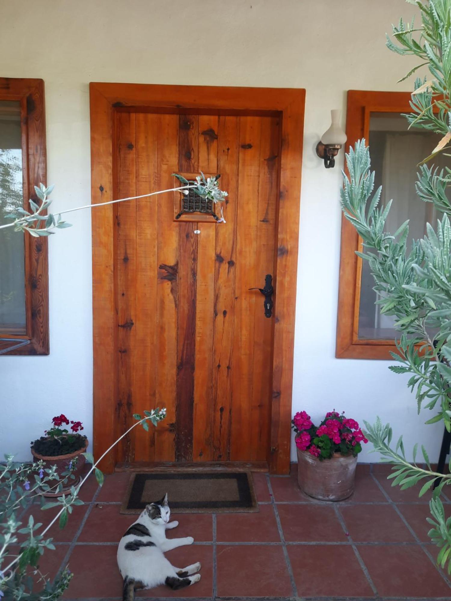 Ionia Guest House Aidim Exterior foto