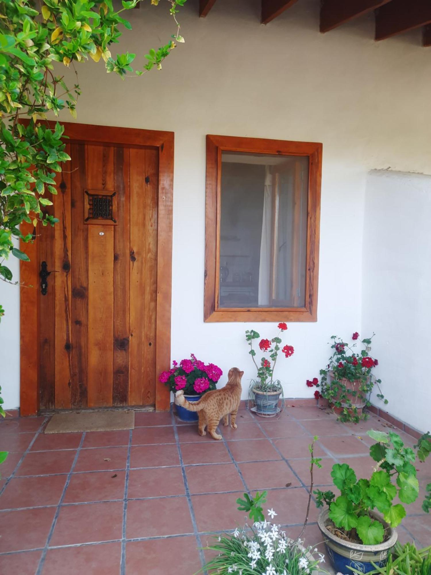 Ionia Guest House Aidim Exterior foto