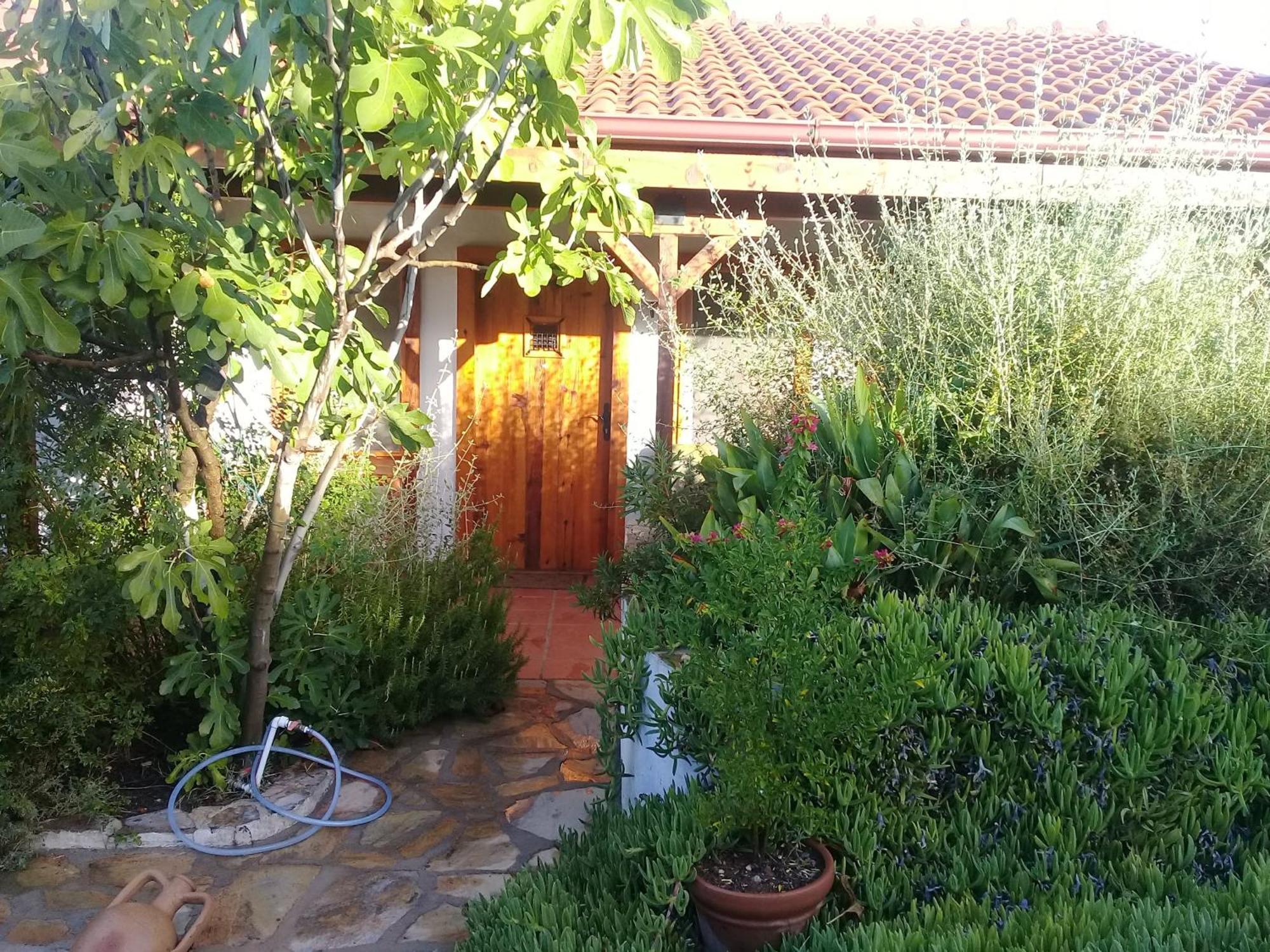 Ionia Guest House Aidim Exterior foto