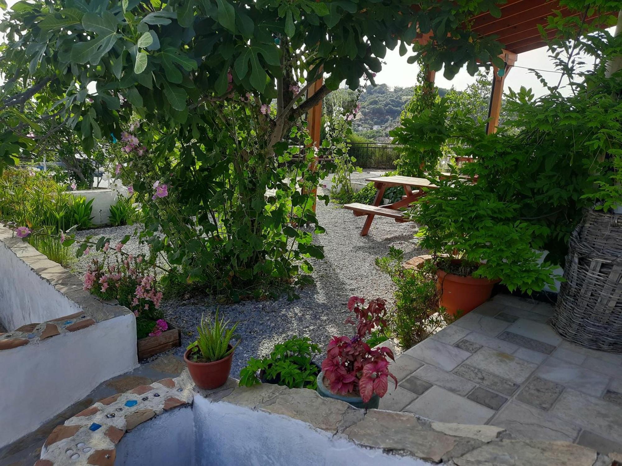 Ionia Guest House Aidim Exterior foto