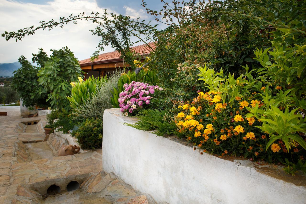 Ionia Guest House Aidim Exterior foto